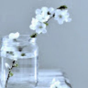 Meet your Posher, Mara